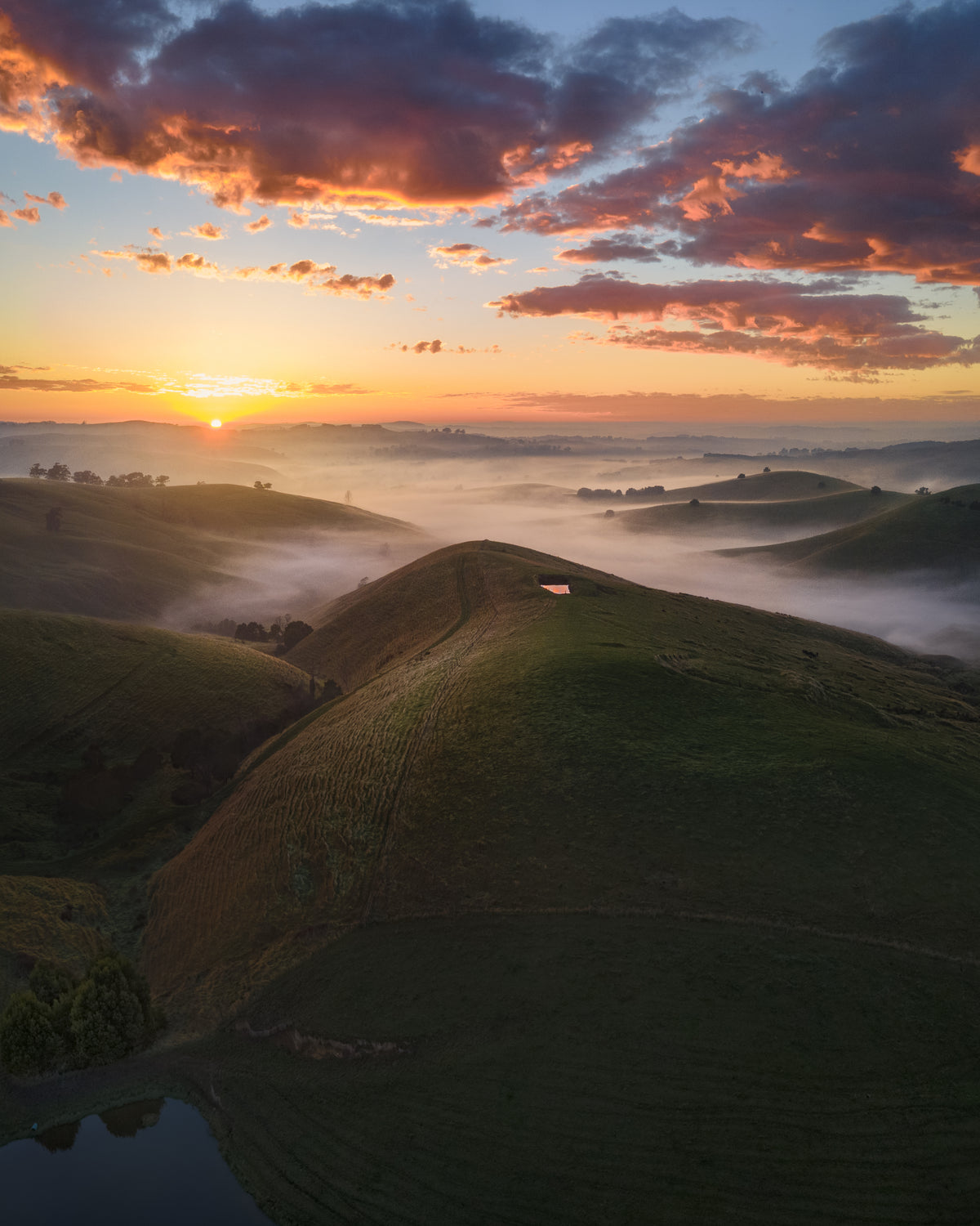 Arawata Sunrise