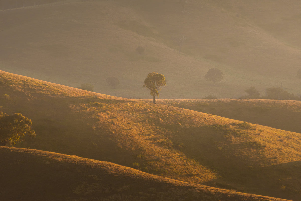 Golden Ridges