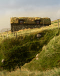 Home