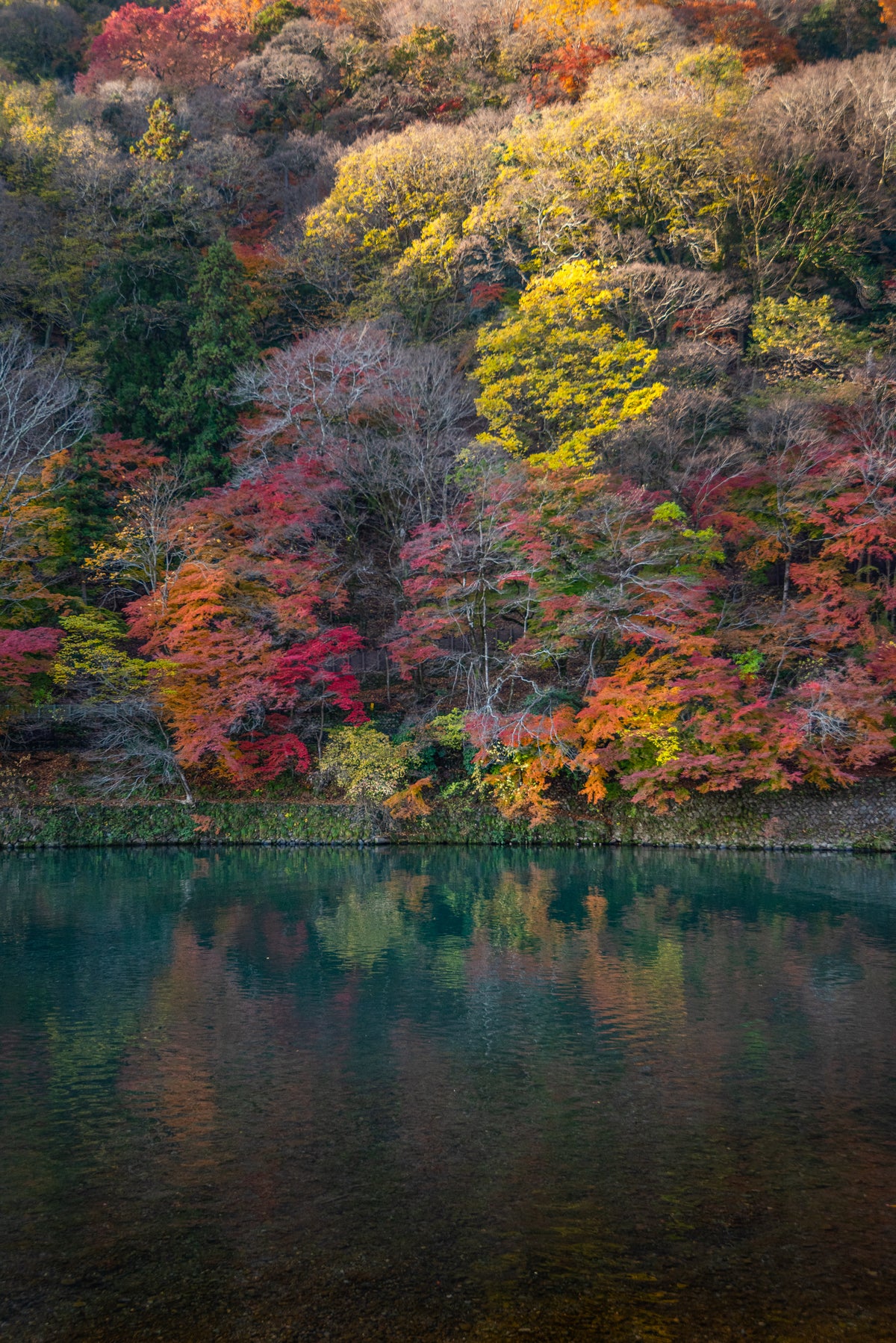 Kyoto River