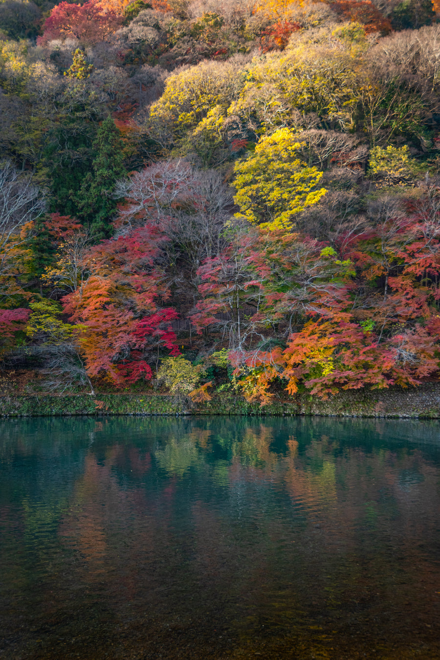Kyoto River