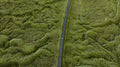 Mossy Drive