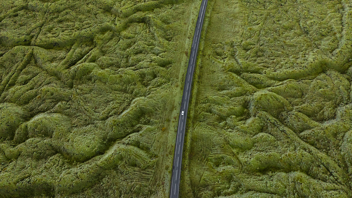 Mossy Drive