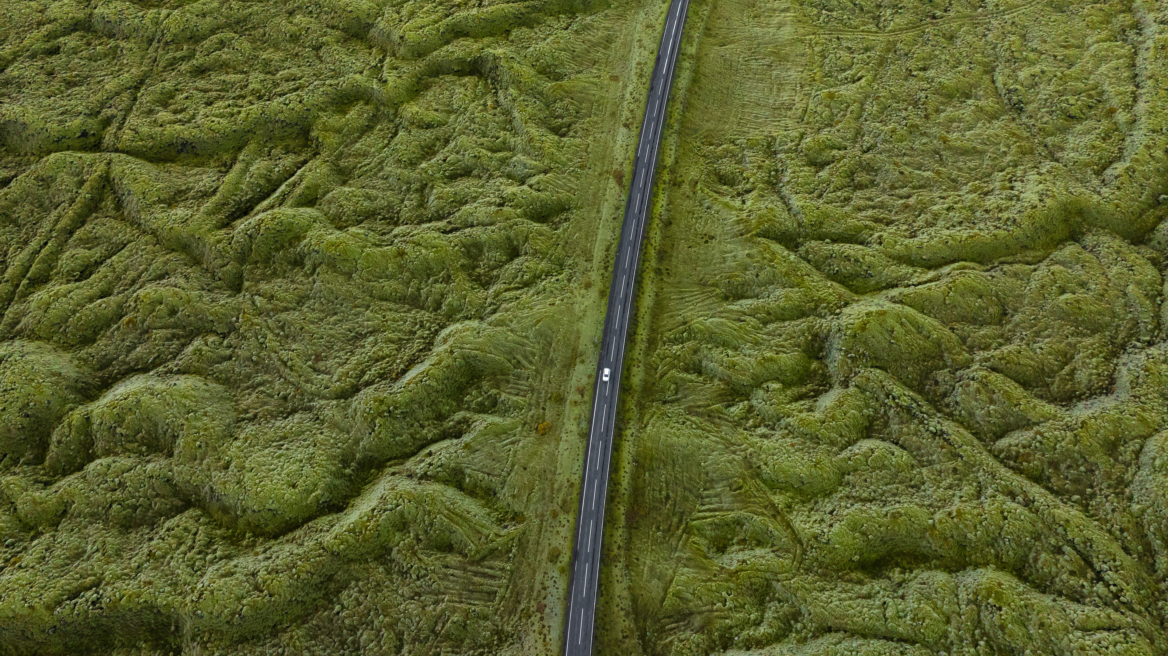Mossy Drive