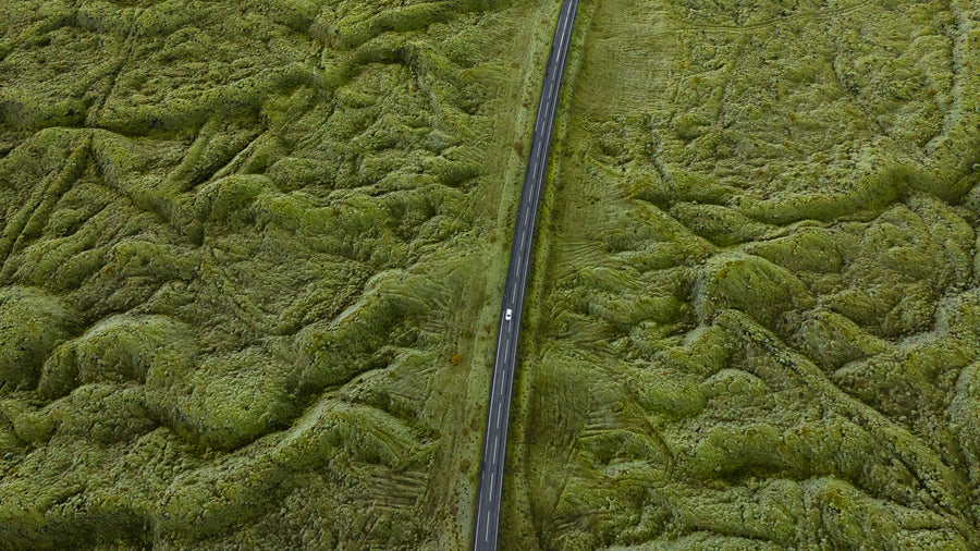 Mossy Drive