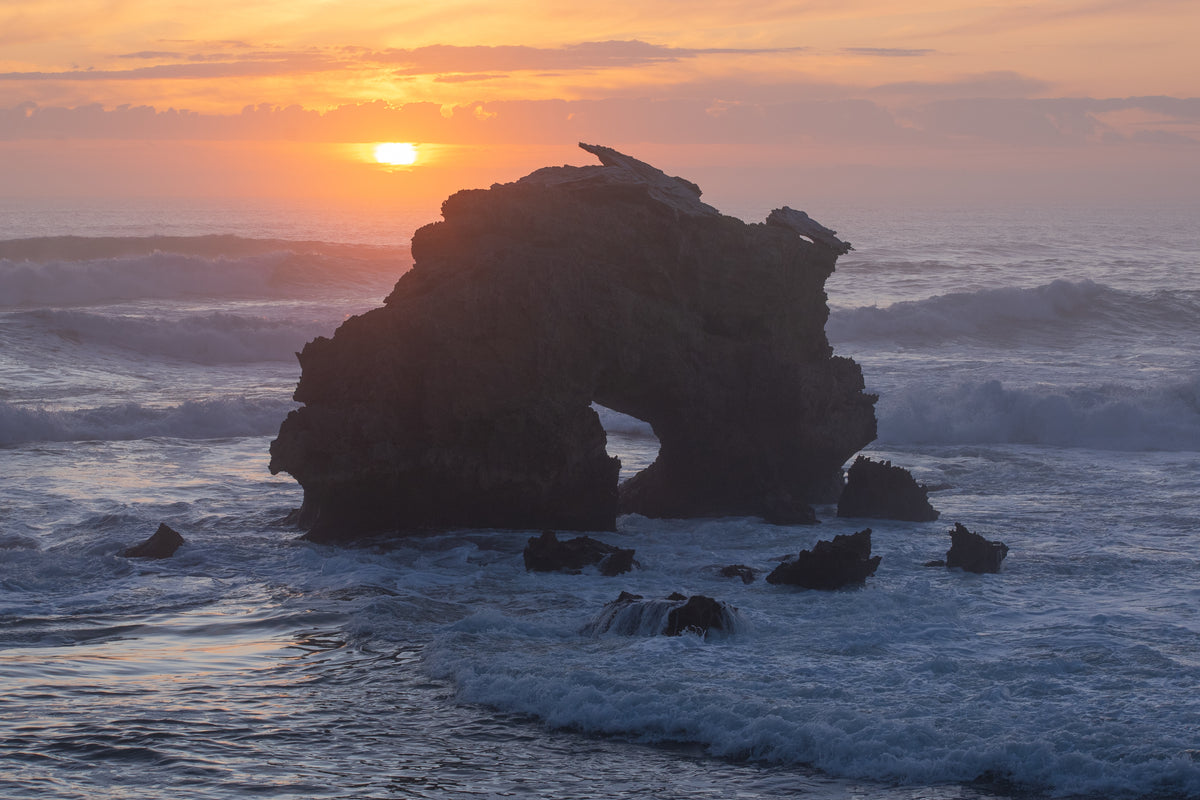 Ocean Doughnut