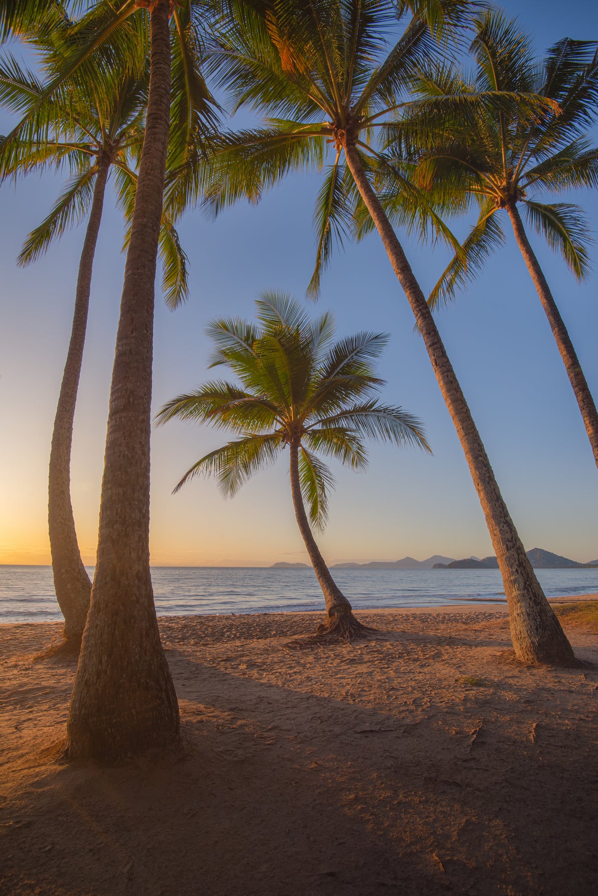 Palm Cove