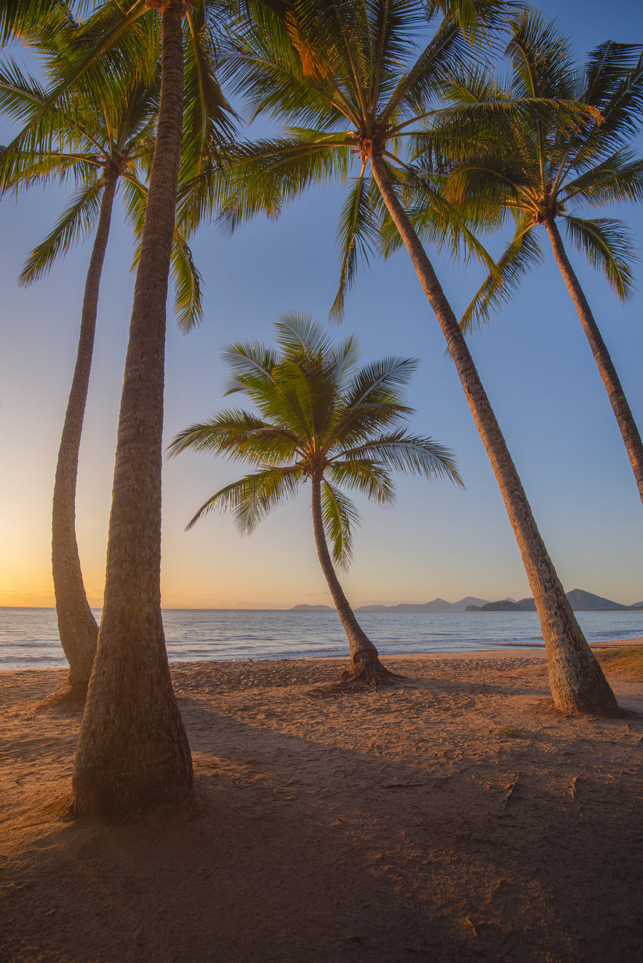 Palm Cove