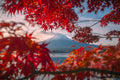 Red Fuji