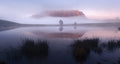 Roland in Fog