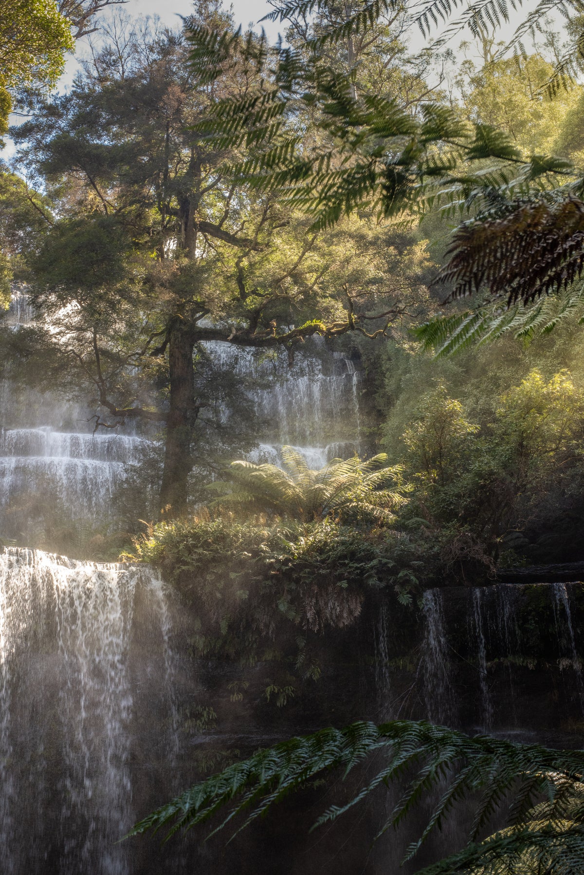 Russel Falls