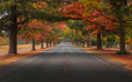 Streets of Bright