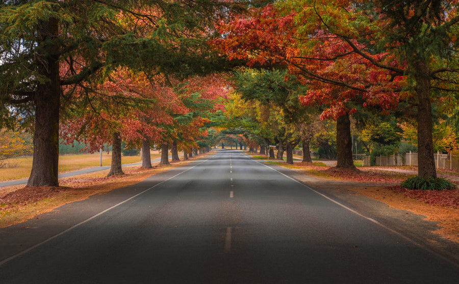 Streets of Bright