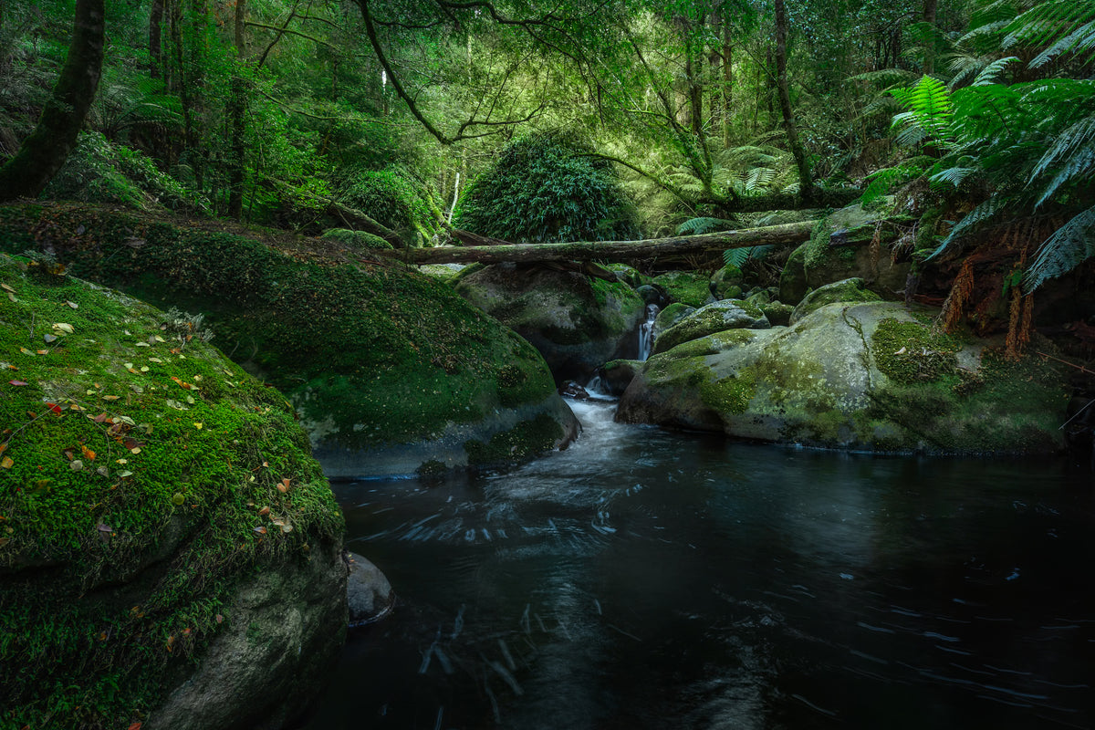 Taggerty Cascades