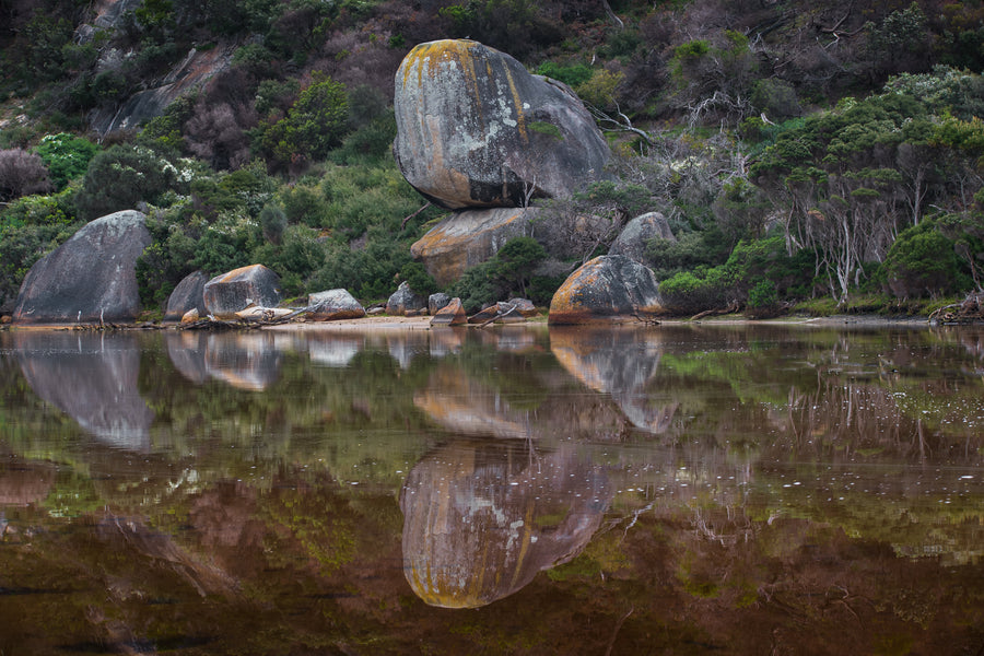 Whale Rock